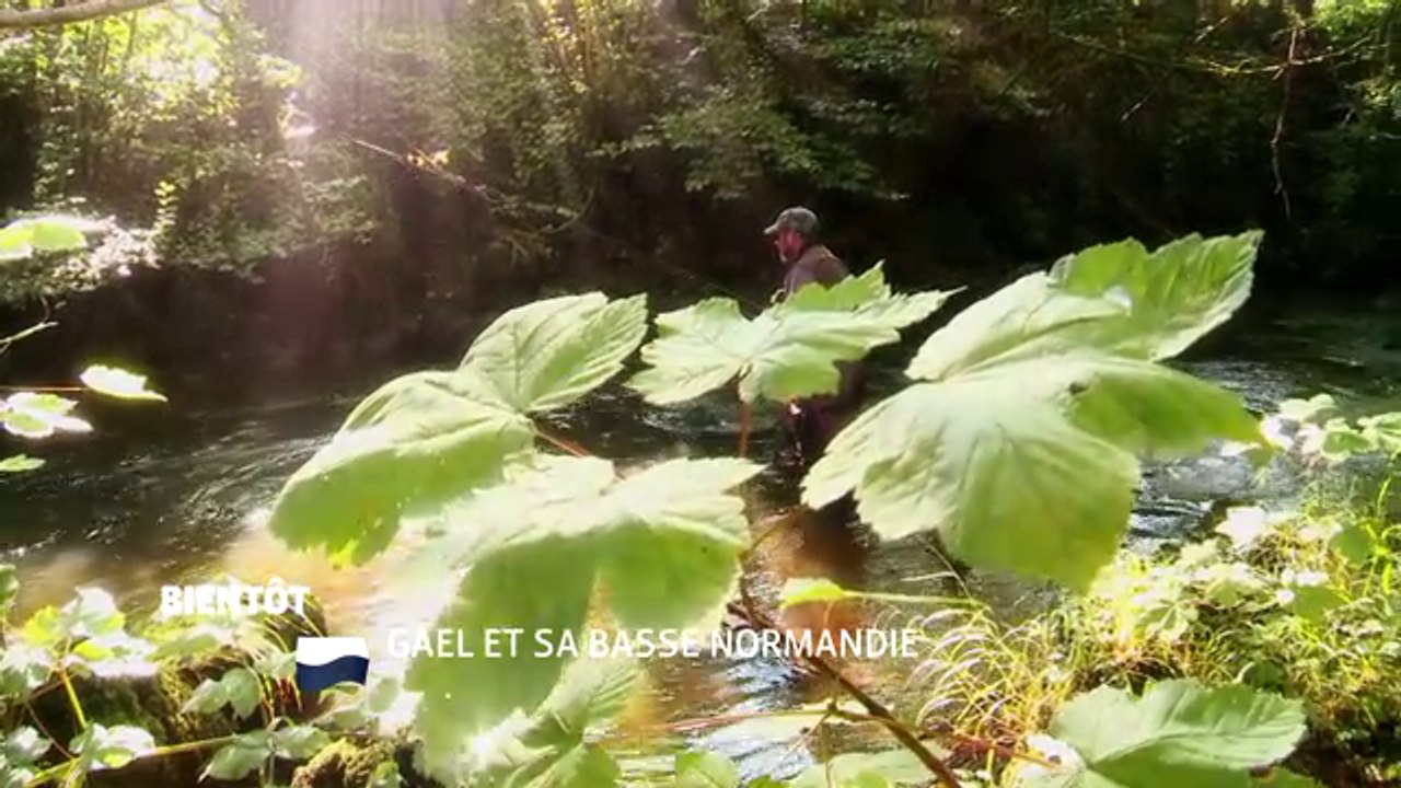Gaël et sa Basse Normandie