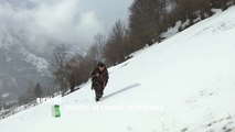 Saisons de chasse en Pyrénées