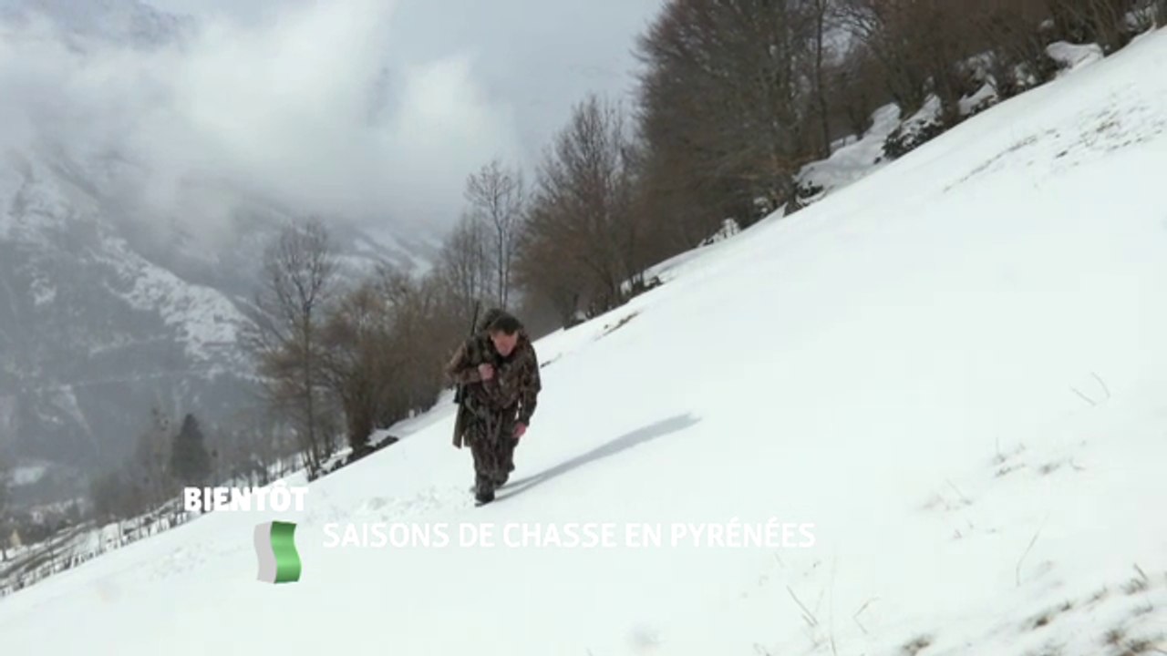 Saisons de chasse en Pyrénées