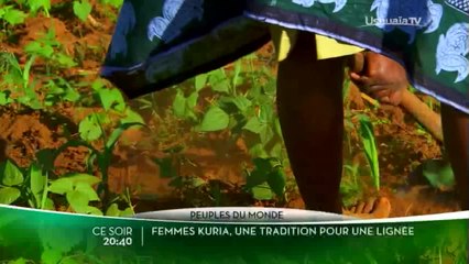 Femme Kuria, une tradition pour une lignée - 08/03/17