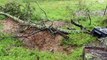 JOHN CREIGHTON FROM WOMBAT CARE BUNDANOON GOES TO A FLOODED WOMBAT BURROW - TUESDAY, MARCH 8, 2022 - SOUTHERN HIGHLAND NEWS