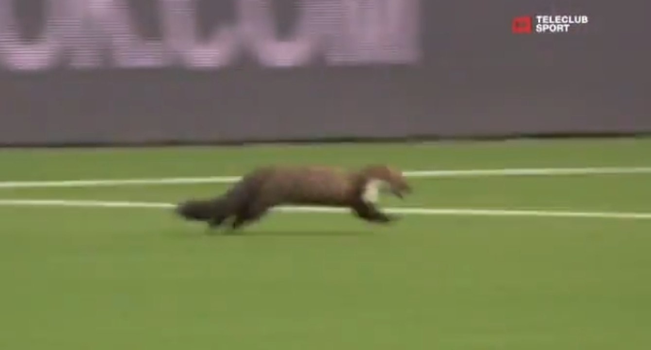 La Fouine s'invite sur un terrain de football et mord deux footballeurs