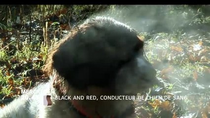 Black & Red, conducteur de chiens de sang - 17/02/17