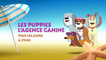 Les Puppies l'agence canine