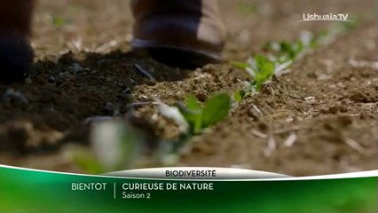 Curieuse de nature - Saison 2