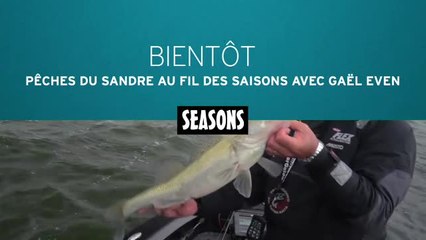 Pêche du sandre au fil des saisons avec Gaël Even