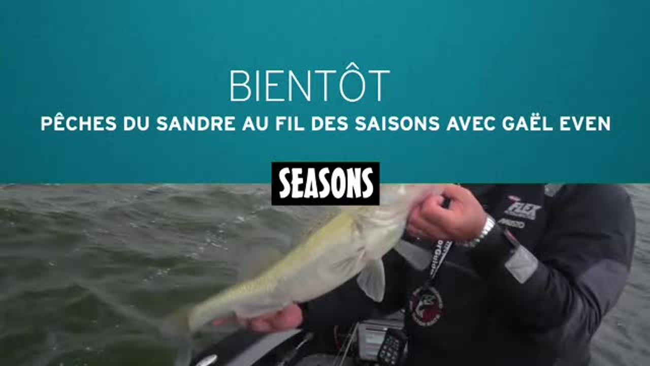 Pêche du sandre au fil des saisons avec Gaël Even