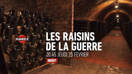 Les Raisins de la guerre