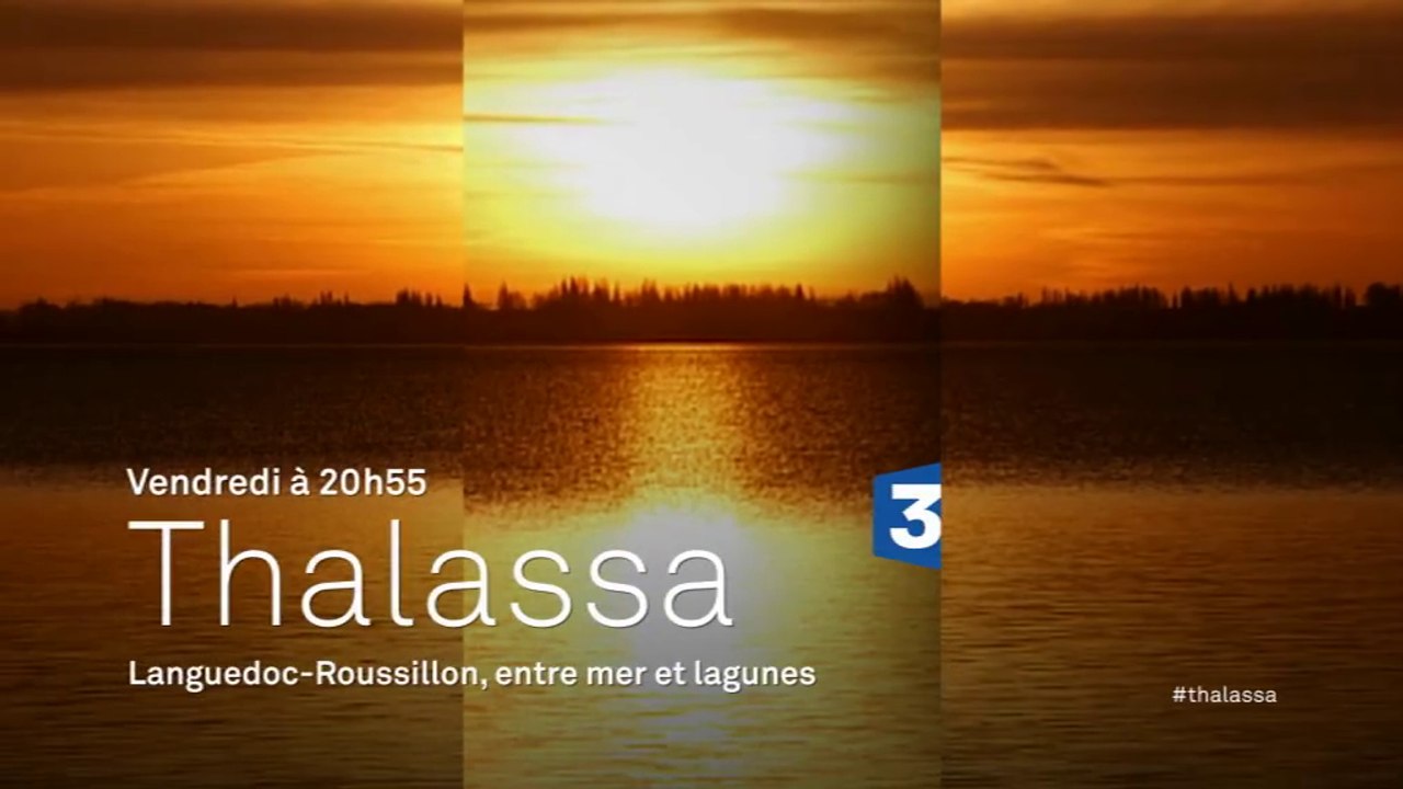 Thalassa - Languedoc-Roussillon : entre mer et lagunes - 11/03/16