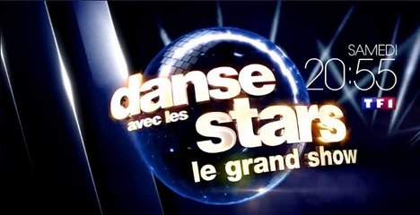 Danse avec les stars  le grand show  - TF1- 04 02 2017
