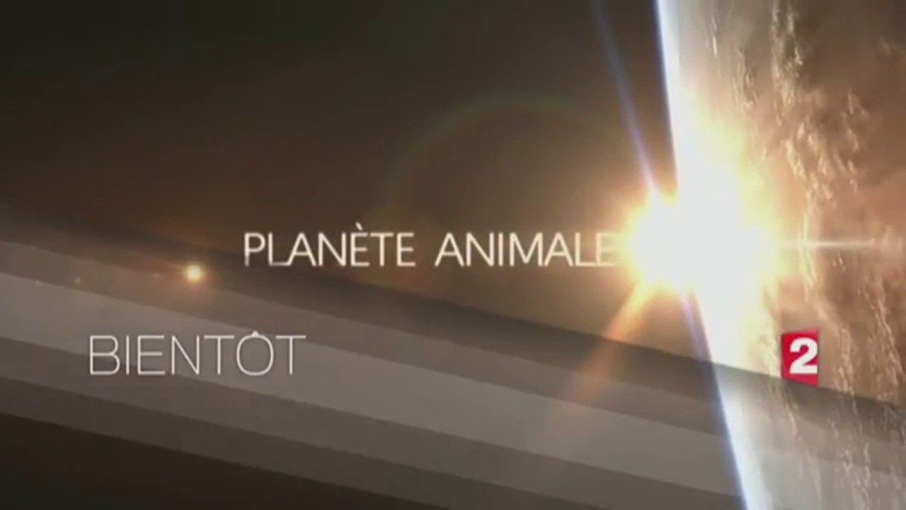 Planète animale (france 2) bande-annonce