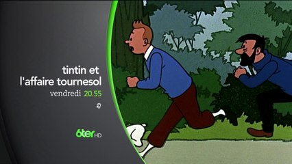 Tintin et l'affaire tournesol - 6Ter