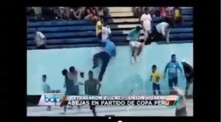 Insolite : Une invasion d'abeilles cause l'interruption d'un match de football au Pérou