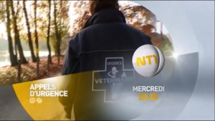 Appels d'urgence - Naissances, accidents, opérations : vétos au coeur de l'urgence - 22/02/17