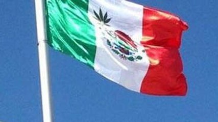 Insolite : Une feuille de cannabis sur le drapeau mexicain pour le Grand Prix de F1