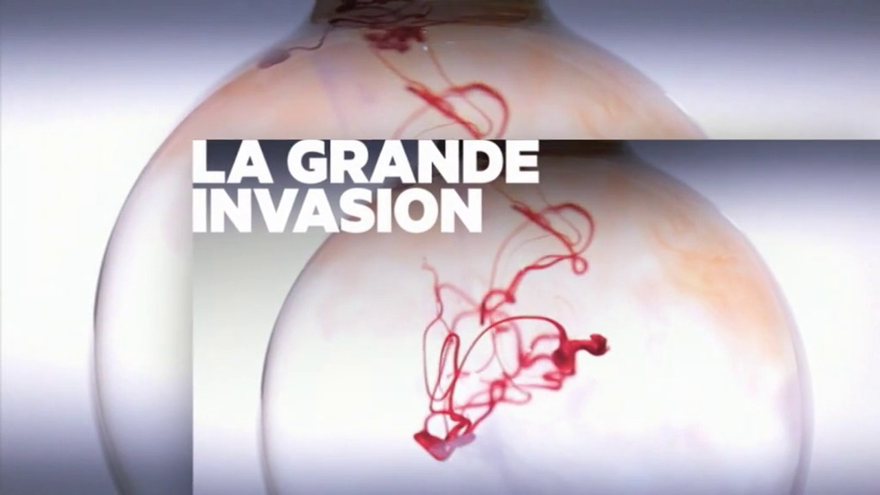 Les nouveaux poisons de notre quotidien- Enquête de santé - 31 01 17