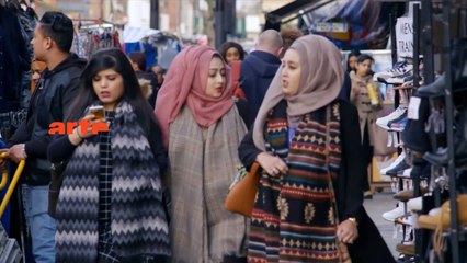 THEMA - Intégration  les raisons du succès - arte - 14 02 14