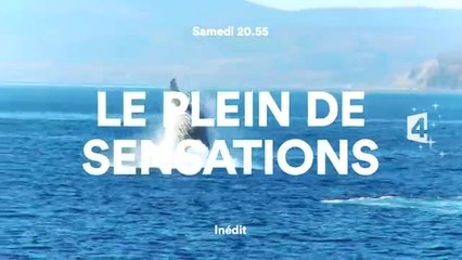 Le Plein de sensations - 07/01/17