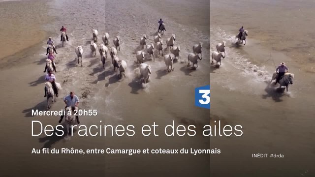 Des Racines et des ailes - Passion patrimoine : Au fil du Rhône, entre Camargue et coteaux du Lyonnais - 18/01/17