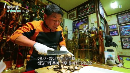 한국기행 - Korea travel_내 멋대로 산다 4부- 날다람쥐, 봉균씨의 사랑가_#002