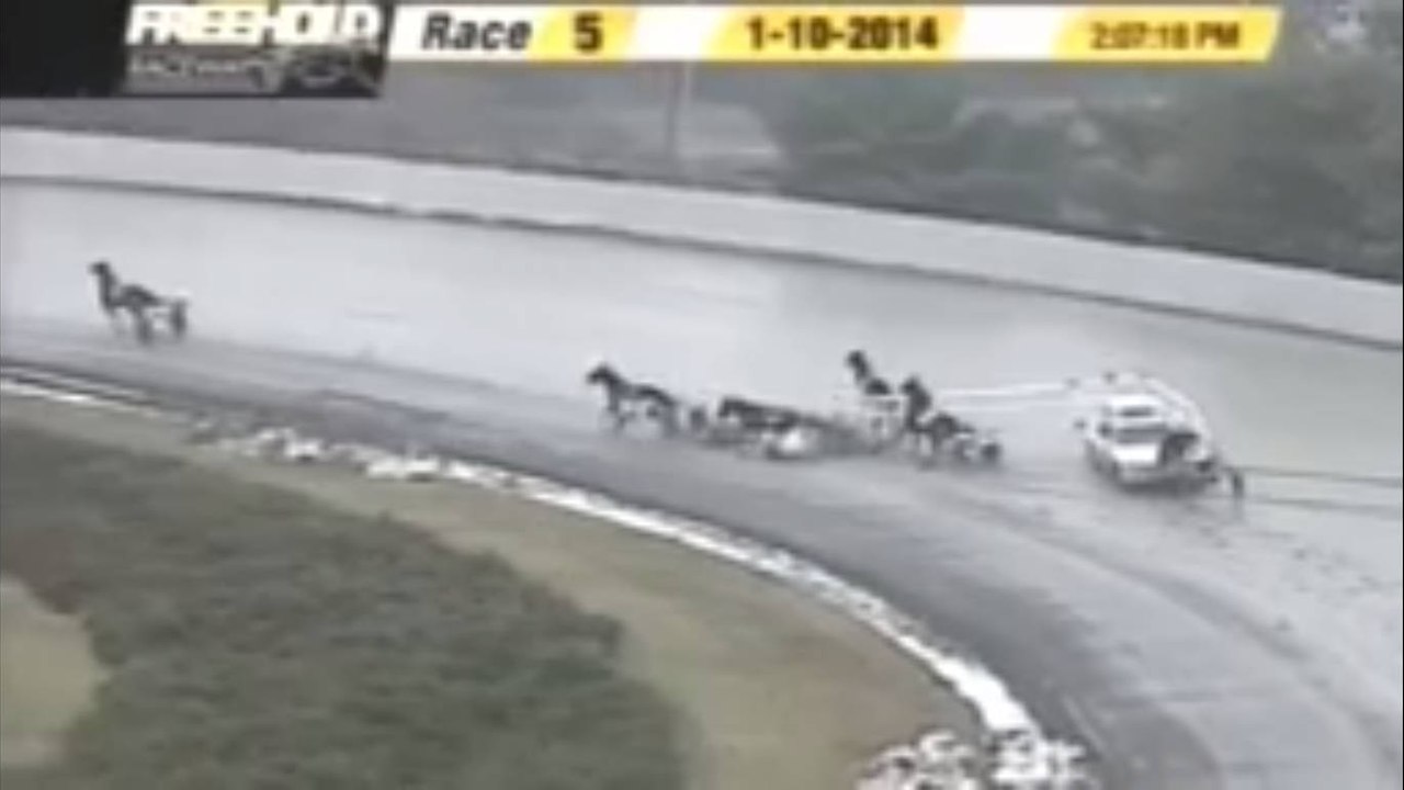 Insolite : Un crash incroyable entre une voiture et des chevaux en pleine course hippique