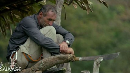 A l'état sauvage : M Pokora en a marre