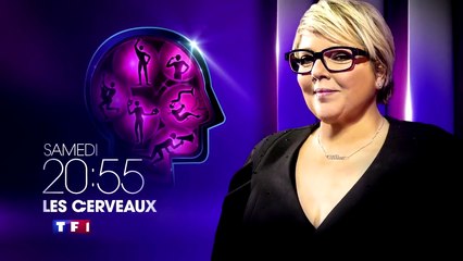 Les Cerveaux  qui sera le français le plus intelligent - tf1 - 11 02 17