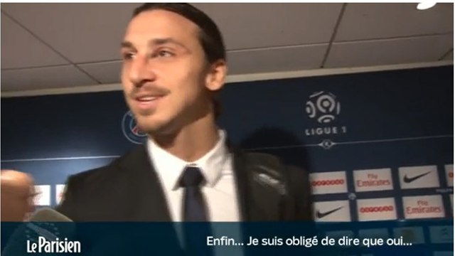 PSG : Zlatan Ibrahimovic avoue à demi-mots qu'il ne connaissait pas Yohan Cabaye