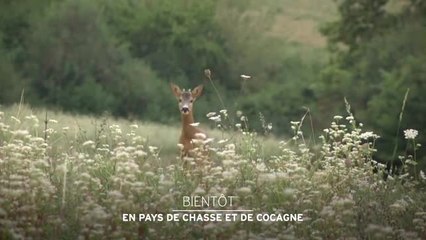 En Pays de chasse et de cocagne - 07/01/17