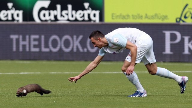 Le bêtisier foot hilarant de 2013