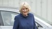 Duchess of Cornwall launches Platinum Champions for Queen's Jubilee
