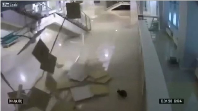 Insolite : Ce jour où un chat a détruit la patinoire des Jeux Olympiques de Sotchi