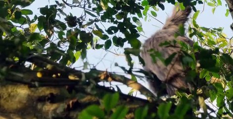 Growing Up Animal S01 E05