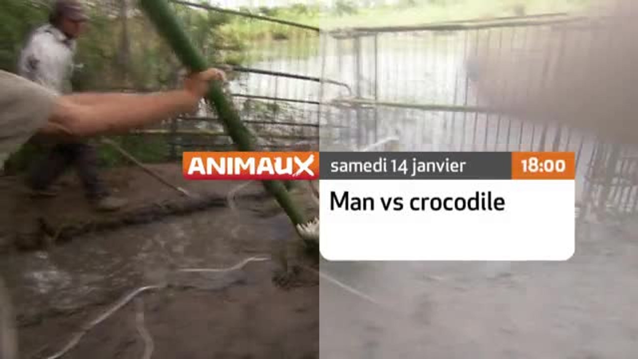Man Vs Crocodile - 16/01/17