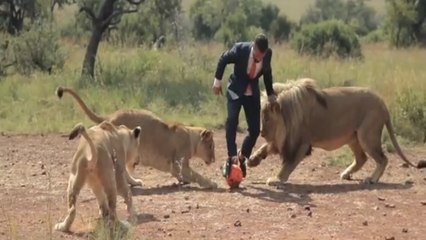 Insolite : Kevin Richardson joue au foot avec 3 lions sauvages en pleine savane pour un spot publicitaire