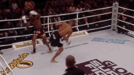 Kick boxing : Le KO le plus impressionnant de l'année est signé Raymond Daniels