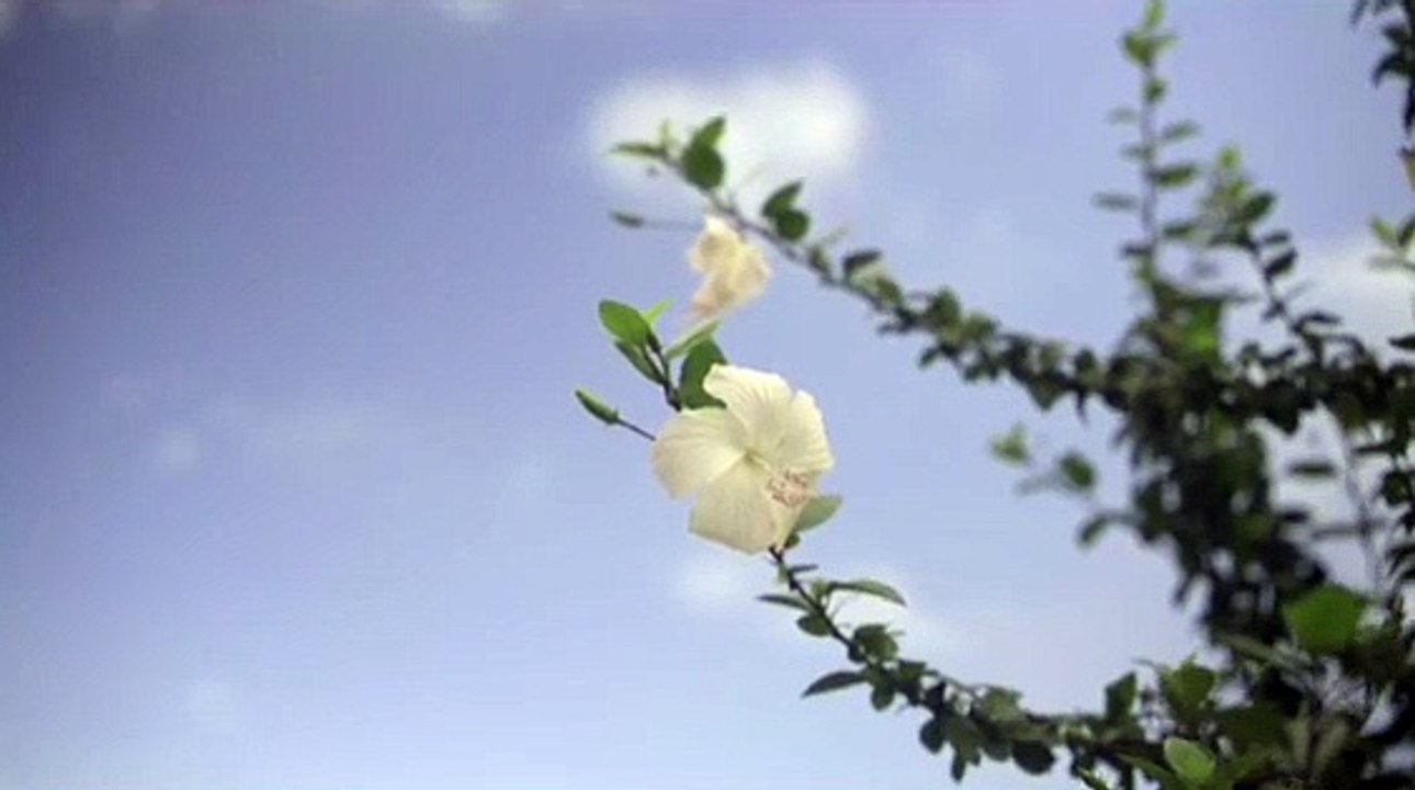 Yoga Relaxing Music For Stress Relax Meditation Music