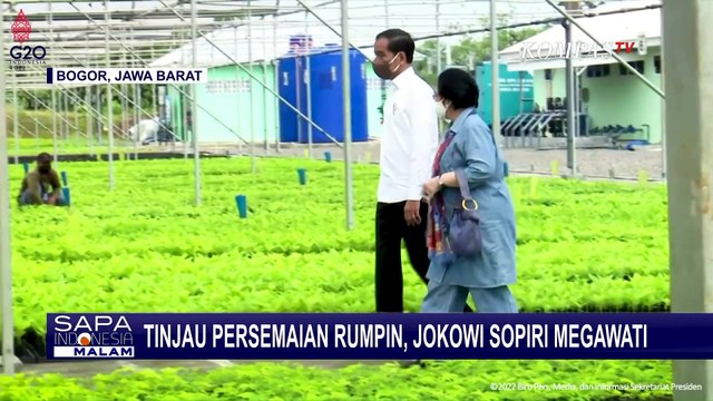 Presiden Joko Widodo Sopiri Megawati Soekarnoputri saat Kunjungan ke Persemaian Modern Rumpin