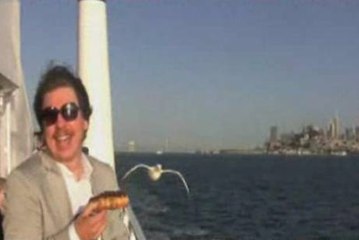 Découvrez la mouette voleuse de nourriture en vidéo