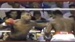 Boxe : Les meilleurs KO de Mike Tyson