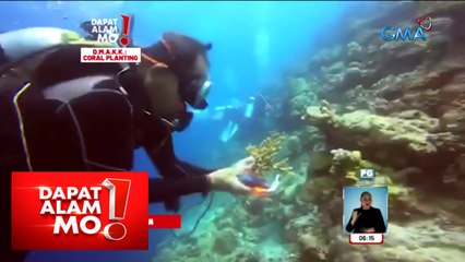 Dapat Alam Mo!: Coral planting, solusyon laban sa malalakas na kalamidad?
