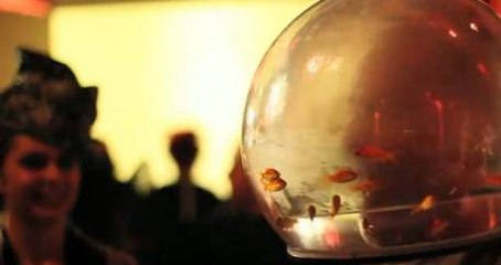 Son casque est... un bocal de poisson