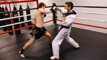 Taekwondo vs Muay Thai : Qui est le plus fort?