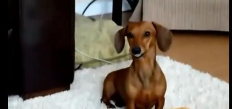 Kalea sourit pour se faire pardonner!