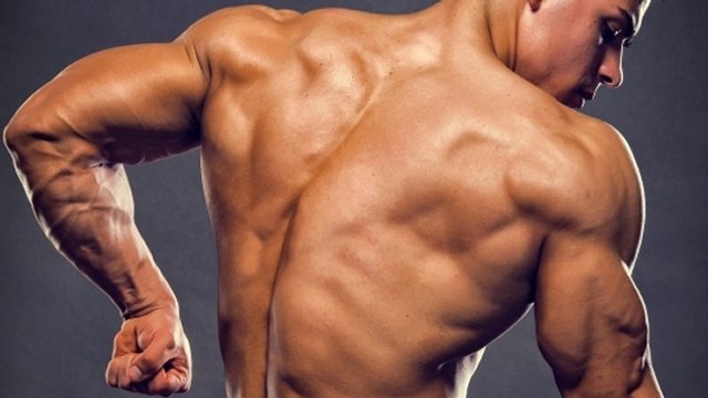2 exercices simples et efficaces pour muscler vos triceps