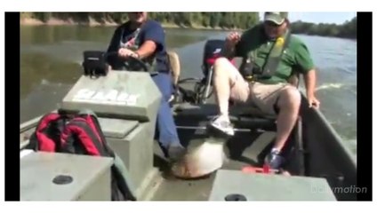 Une pêche vraiment miraculeuse