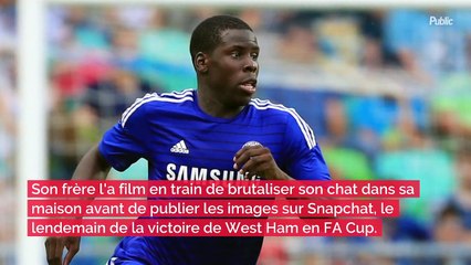 Une star de l'équipe de France filmée en train de violenter son animal de compagnie : Cet énorme scandale bouleverse les internautes !