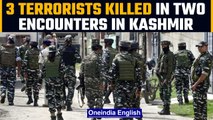 Kashmir valley: Three terrorists killed in two different operations | OneIndia news