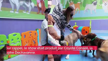 Christophe Dechavanne au plus mal, cette nouvelle inattendue qui risque d’attrister les téléspectateurs...