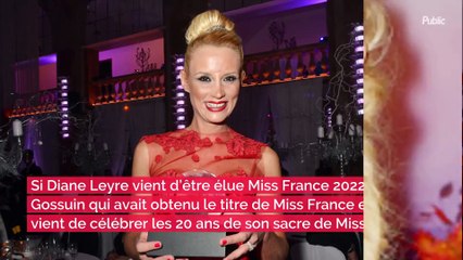 "Pas les miches" : Elodie Gossuin dévoile sa poitrine avec une photo très sexy et inattendue pour le nouvel an